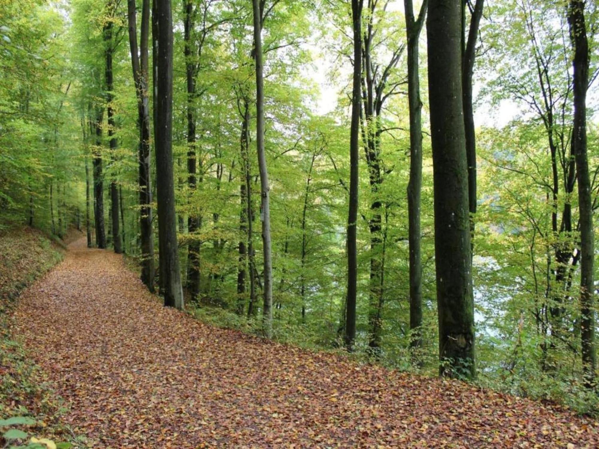 Apartment With Garden In A Wooded Setting Auw bei Prum Zewnętrze zdjęcie