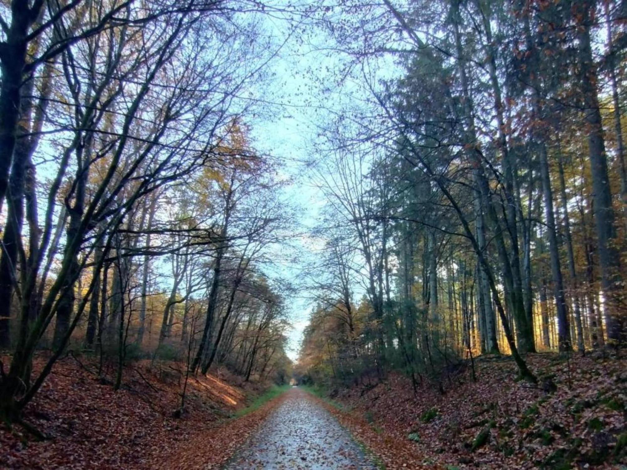 Apartment With Garden In A Wooded Setting Auw bei Prum Zewnętrze zdjęcie